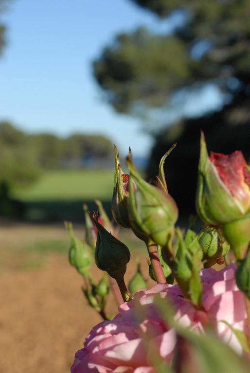 La Bellonette Marseillan  Esterno foto